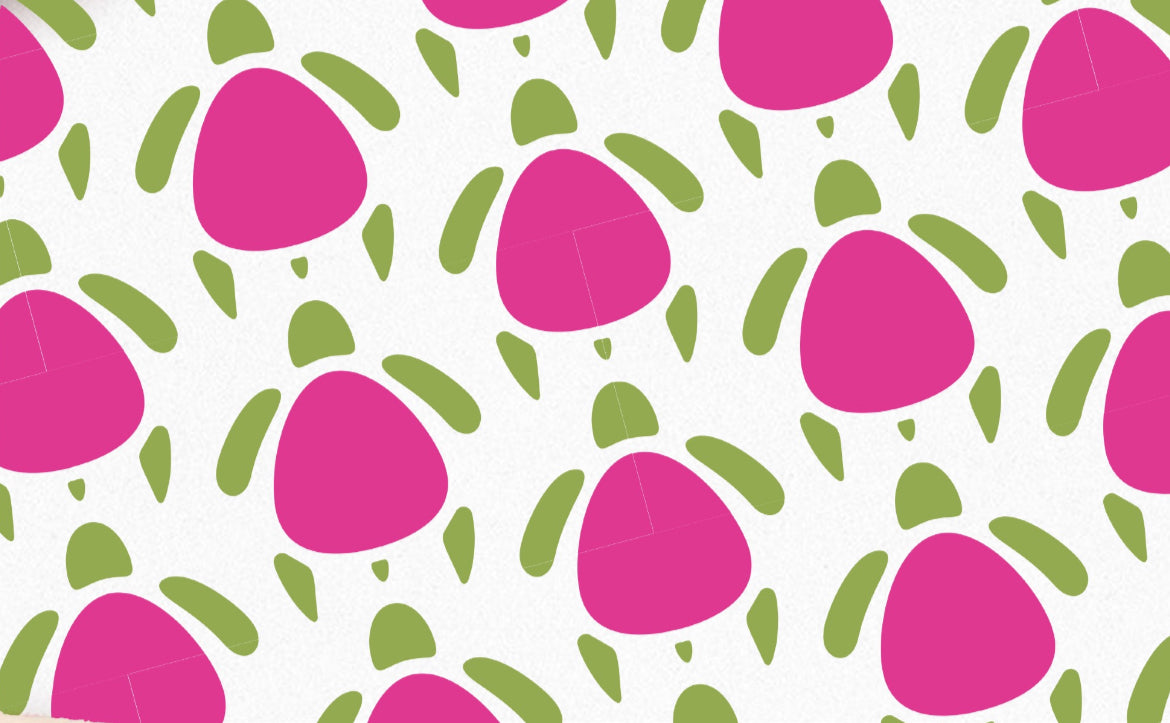 turtleberry.myshopify.com – Turtle Berry